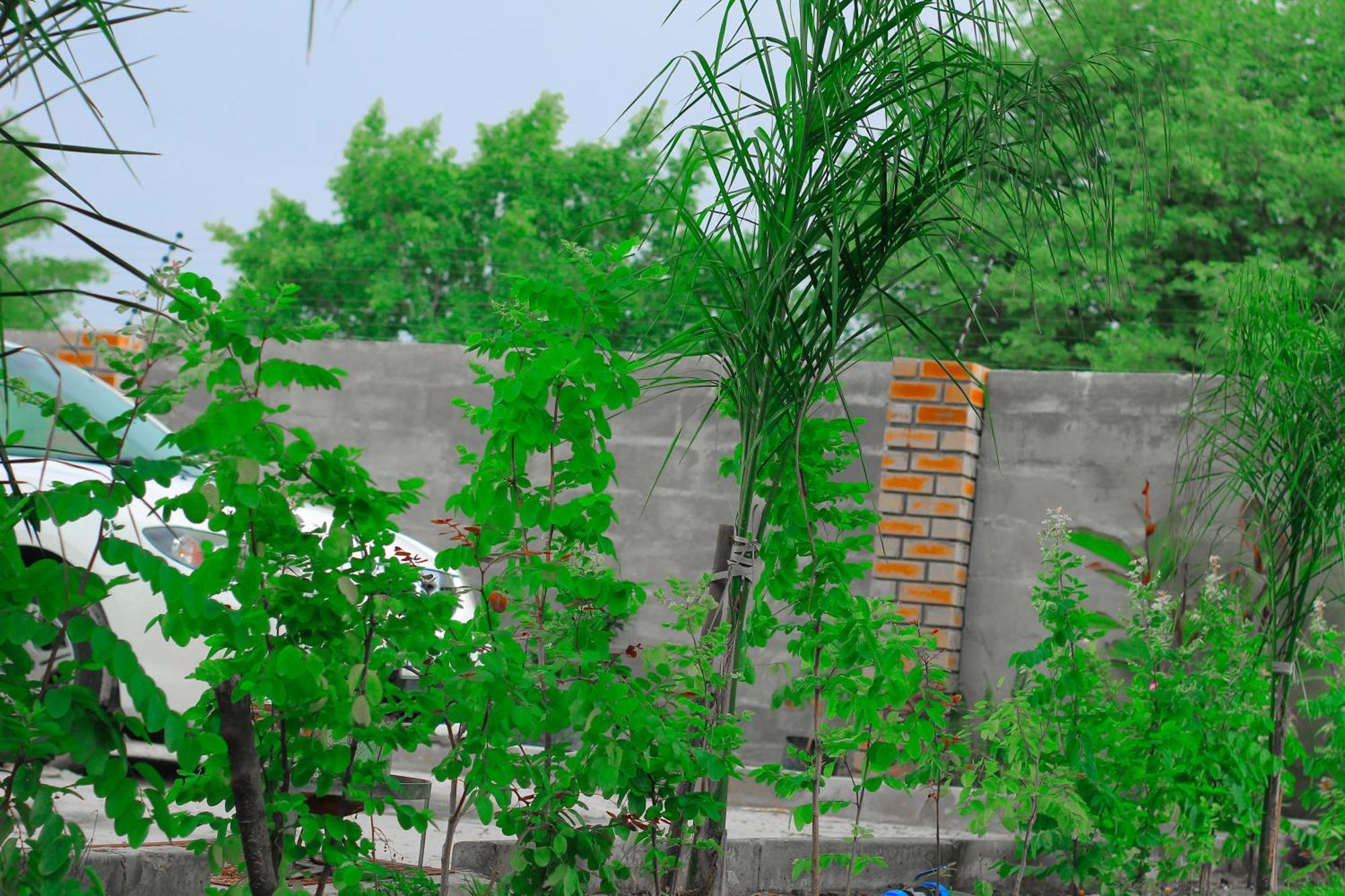 Golentle Home Stay Maun Room photo